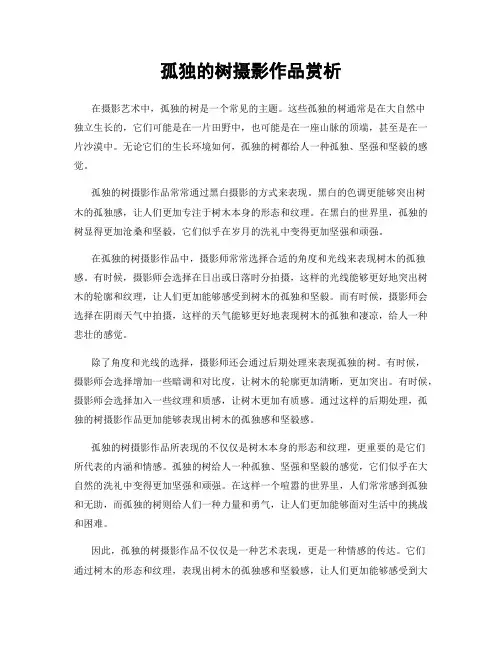 孤独的树摄影作品赏析