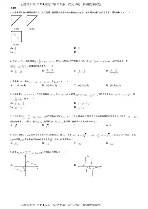 云南省大理州2024届高三毕业生第一次复习统一检测数学试题