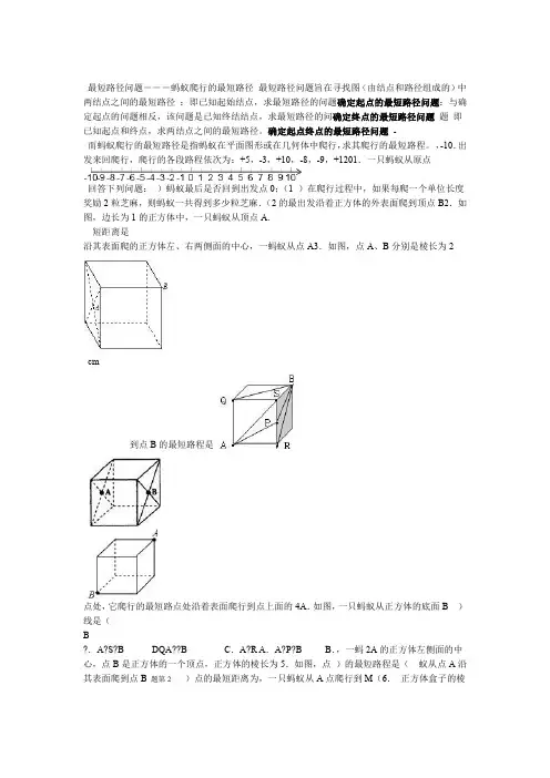 最短路径问题―――蚂蚁爬行的最短路径