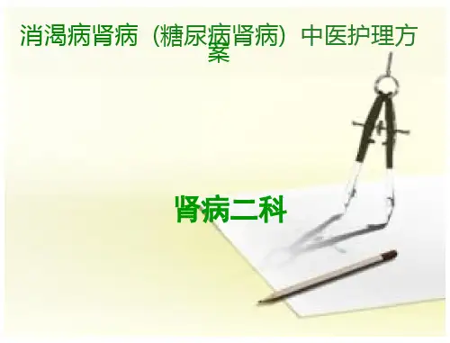 消渴病肾病课件