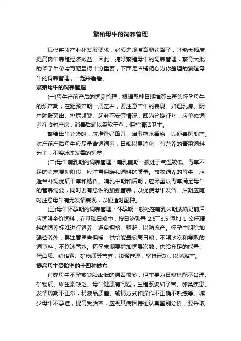 繁殖母牛的饲养管理