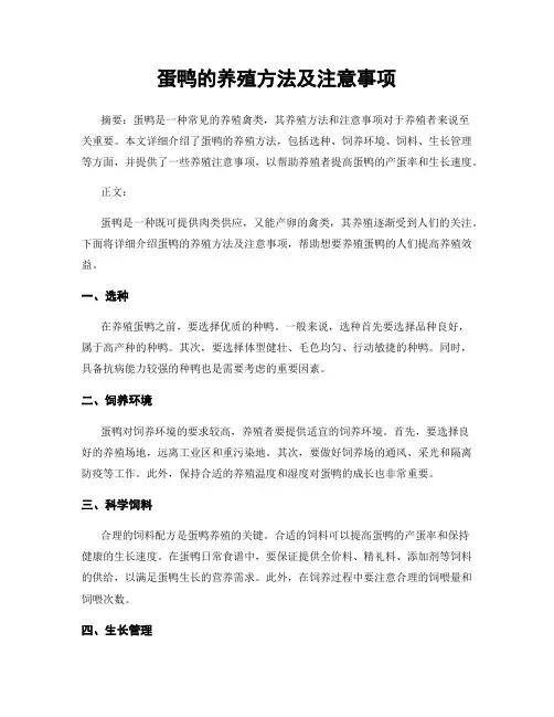 蛋鸭的养殖方法及注意事项