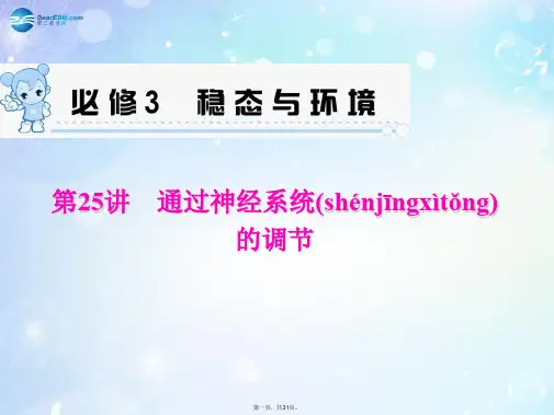 高考生物一轮总复习 第25讲 通过神经系统的调节课件 新人教版必修3