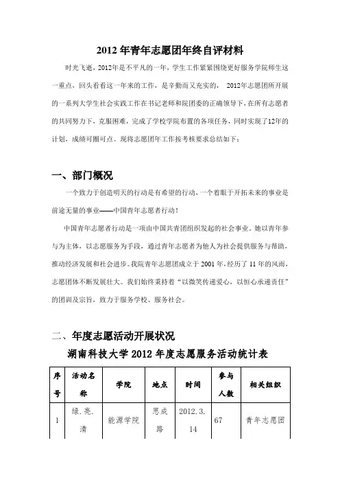 志愿团自评