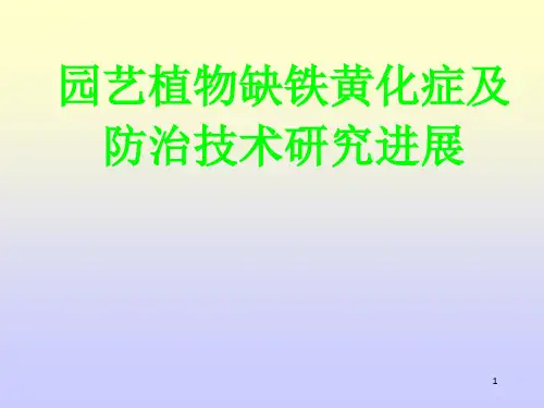 果树铁营养研究进展讲