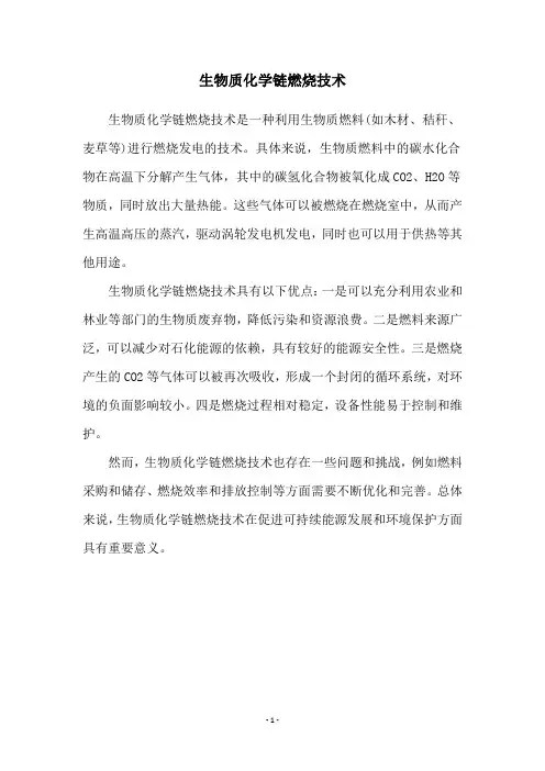 生物质化学链燃烧技术