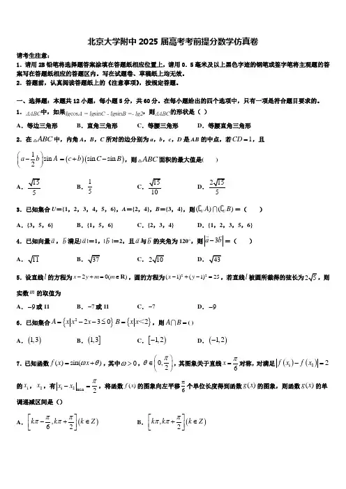 北京大学附中2025届高考考前提分数学仿真卷含解析
