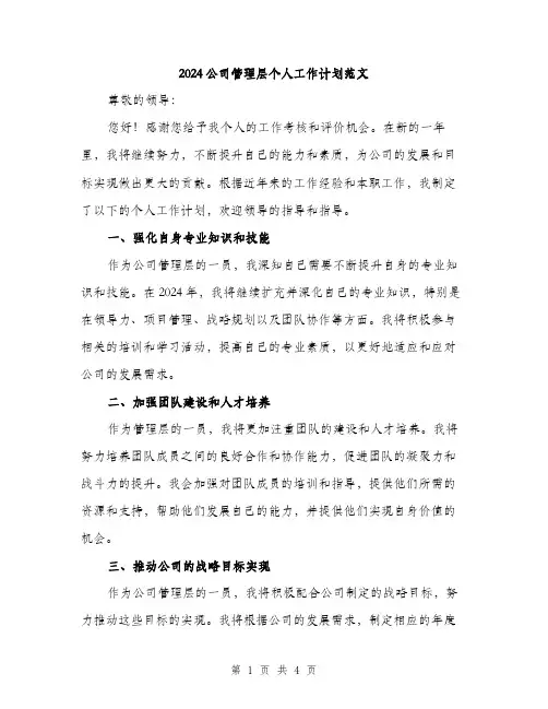 2024公司管理层个人工作计划范文(二篇)