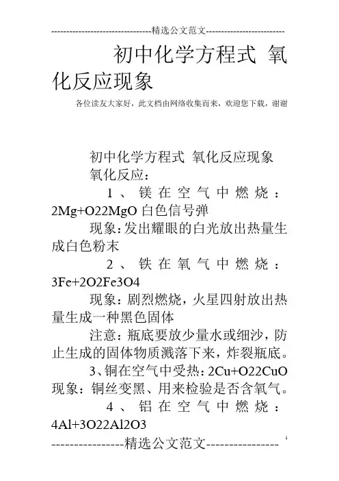 初中化学方程式 氧化反应现象