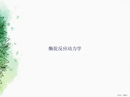 酶促反应动力学2讲课文档
