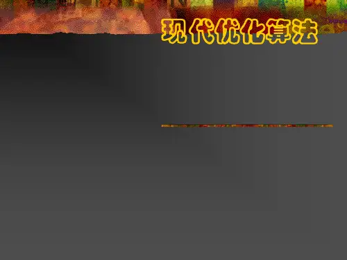 现代优化算法