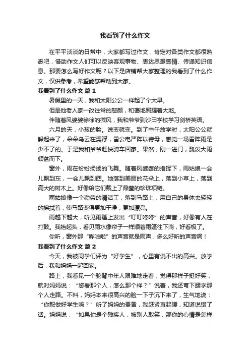 我看到了什么作文