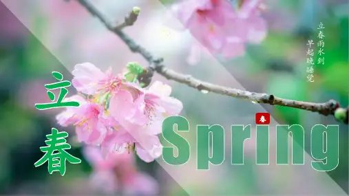 简约二十四节气立春PPT模板