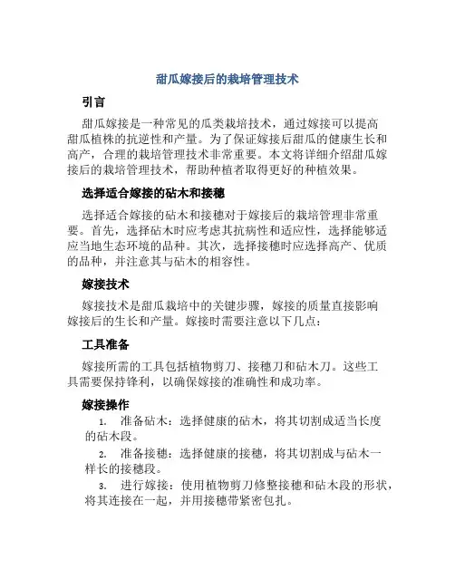 甜瓜嫁接后的栽培管理技术