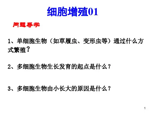 高三一轮复习生物： 细胞的增殖第一讲(细胞增殖和细胞周期)课件