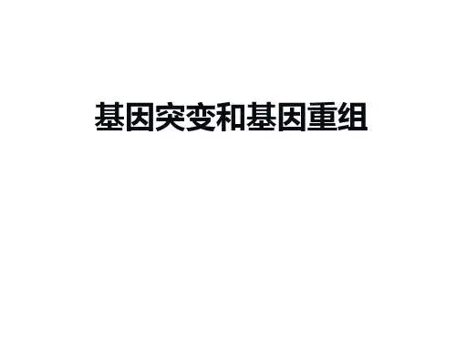 基因突变和基因重组 课件