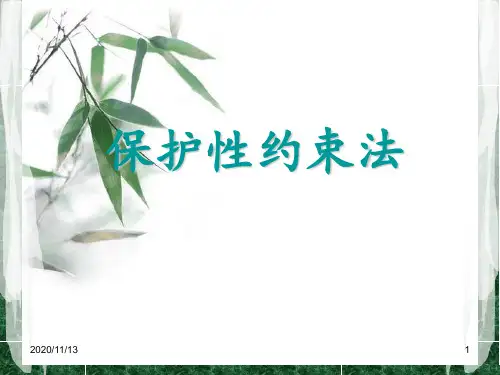 保护性约束 ppt课件