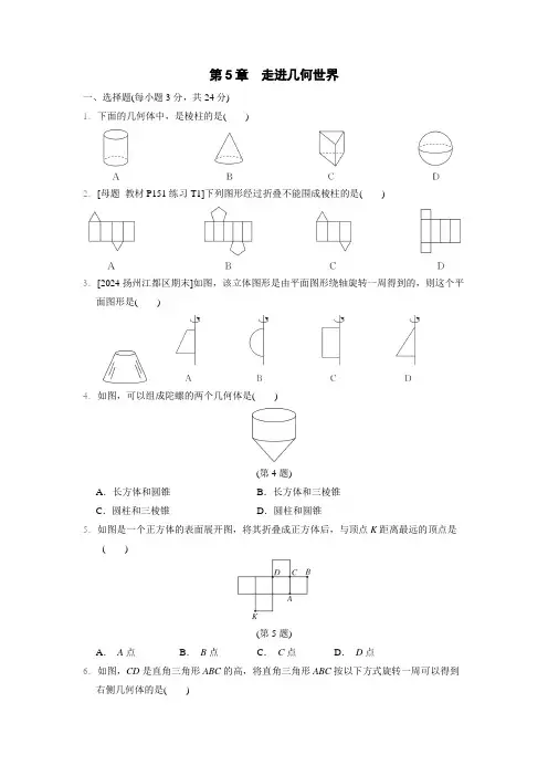 第5章+走进几何世界+综合素质评价卷+2024-2025学年苏科版数学七年级上册