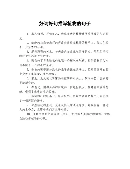 好词好句描写植物的句子