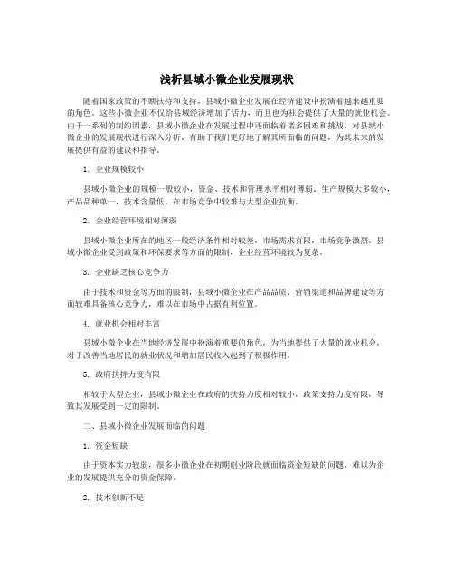 浅析县域小微企业发展现状