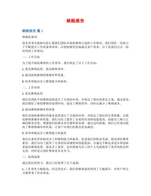 缺陷报告范文