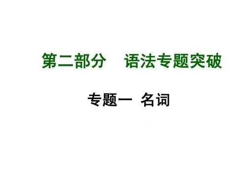 人教版中考语法专题突破课件专题1名词
