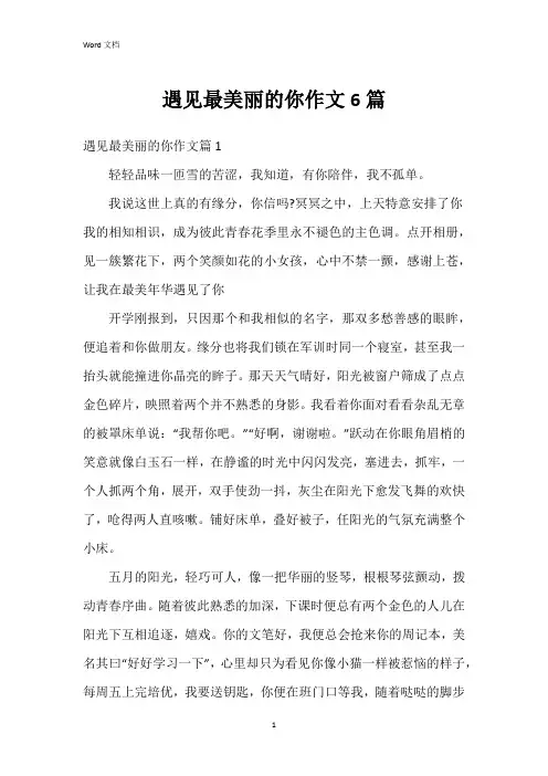 遇见最美丽的你作文6篇