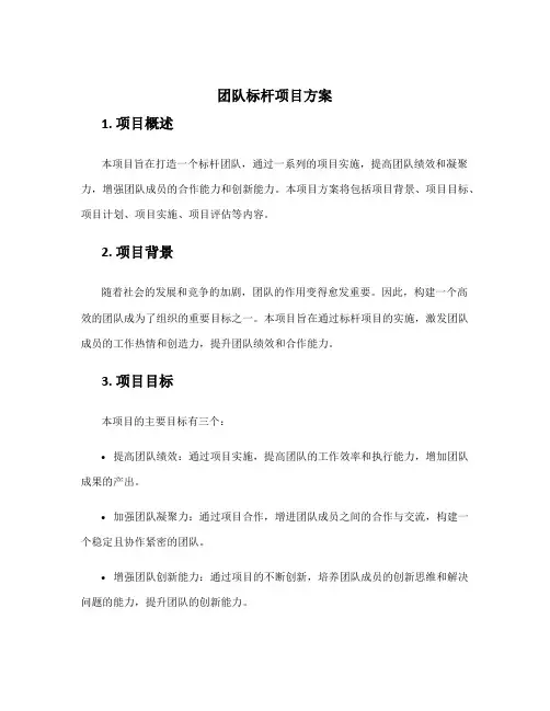 团队标杆项目方案