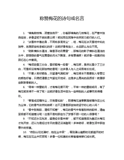 称赞梅花的诗句或名言
