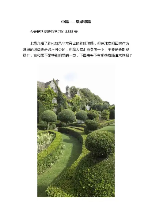 中篇----常绿球篇
