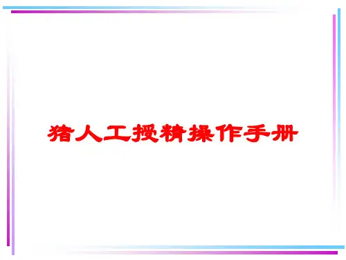 猪人工授精操作手册培训课件