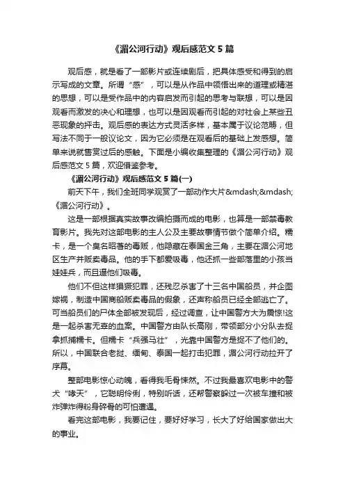 《湄公河行动》观后感范文5篇
