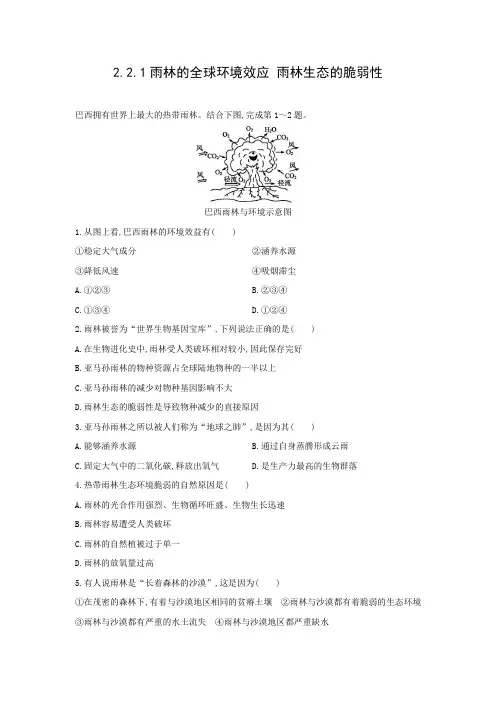 课时作业21：2.2.1雨林的全球环境效应　雨林生态的脆弱性