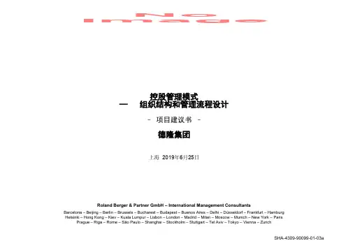 罗兰贝格-德隆集团控股管理模式组织结构和管理流程设计项目建议书-PPT资料64页