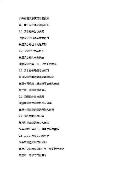 小升初语文总复习专题教案