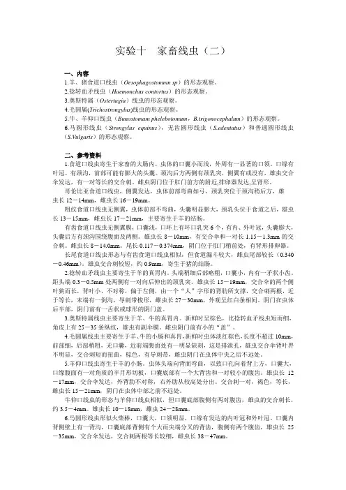 实验十  家畜线虫(二)