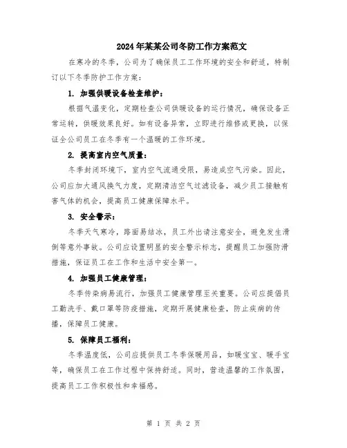 2024年某某公司冬防工作方案范文