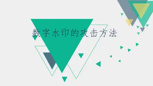 数字水印的攻击方法