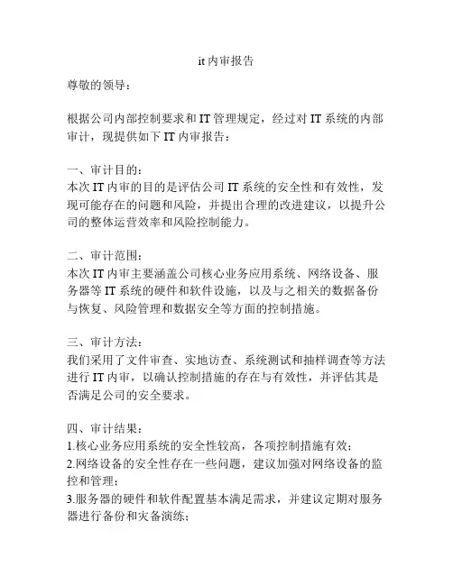 it内审报告