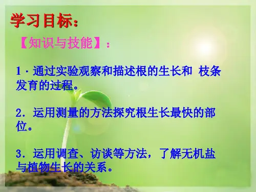植株的生长课件