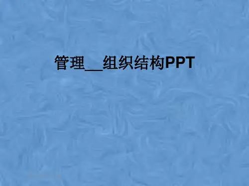 管理__组织结构PPT