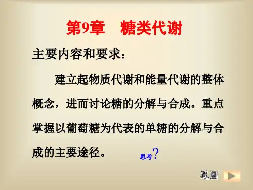 中国农业大学基础生物化学第9章糖代谢PPT课件