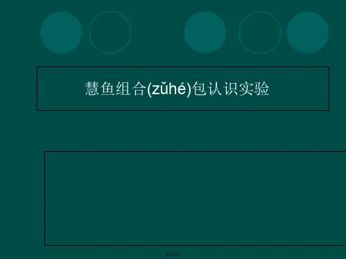 慧鱼介绍学习讲解