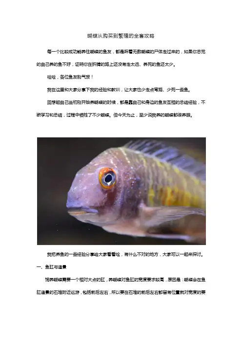 蝴蝶从购买到繁殖的全套攻略