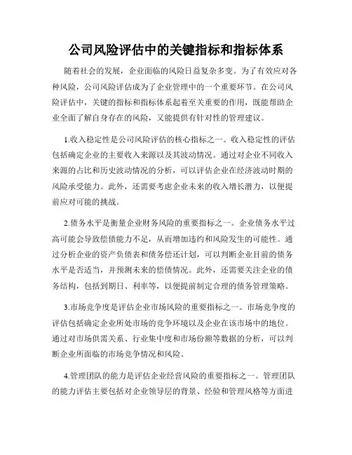 公司风险评估中的关键指标和指标体系