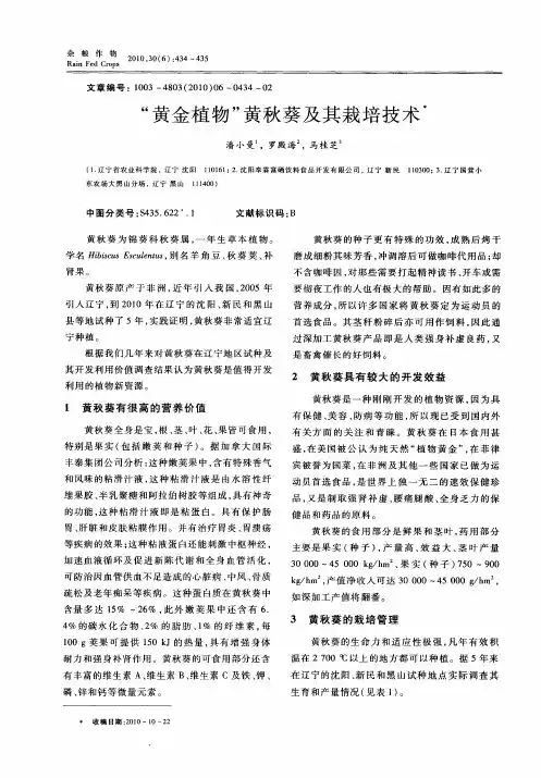 “黄金植物”黄秋葵及其栽培技术