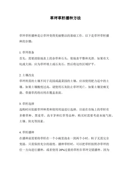 草坪草籽播种方法