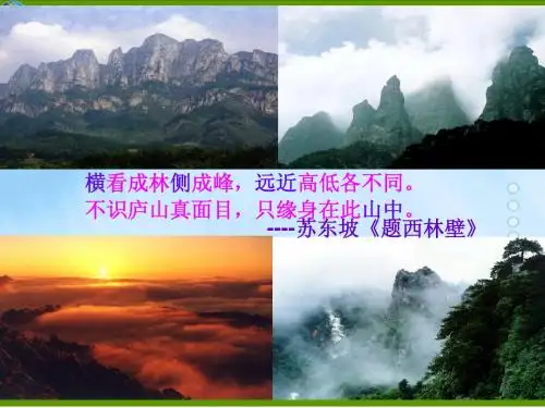 4.1_由立体图形到视图ppt