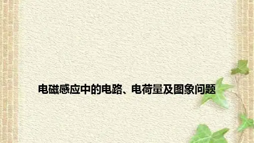 2022-2023年高考物理一轮复习 电磁感应中的电路、电荷量及图象问题