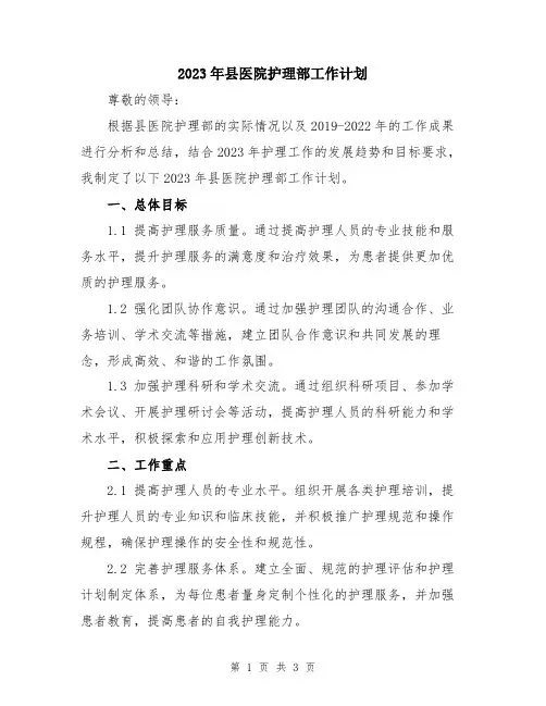 2023年县医院护理部工作计划